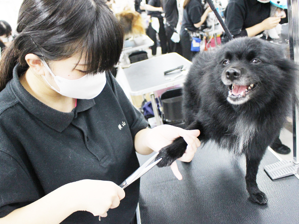 本日もかわいいお客様が来校♪